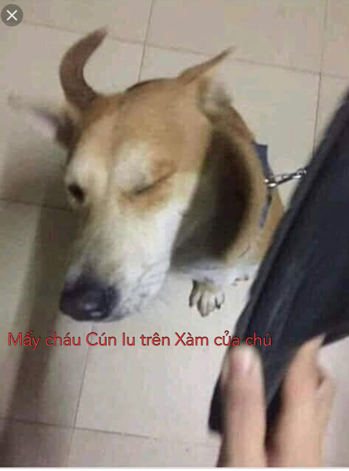 554452-9a09ee63b3e0.jpeg