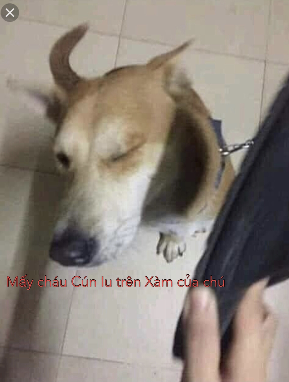 555803-7f26bfc16f93.jpeg