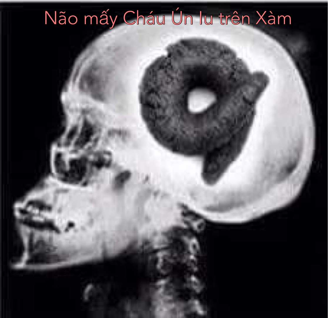 555966-392b35f05738.jpeg
