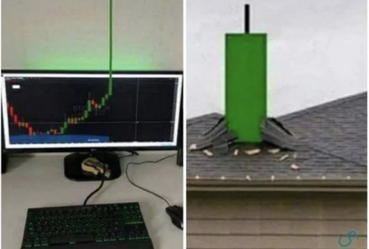557239-61c548ff8040.jpeg