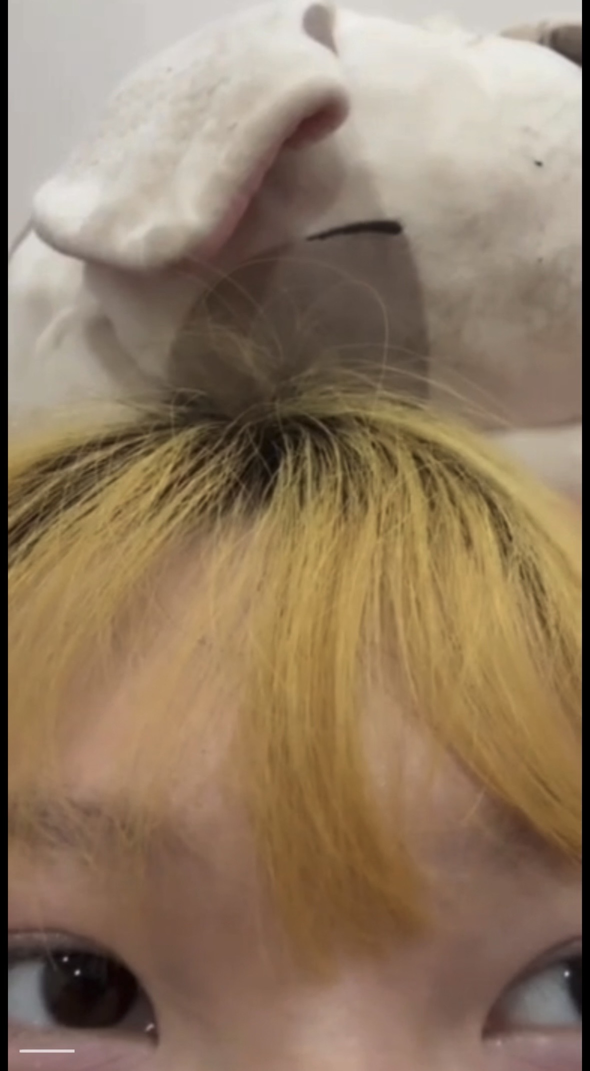 562762-c8a1dd76ef4a.jpeg