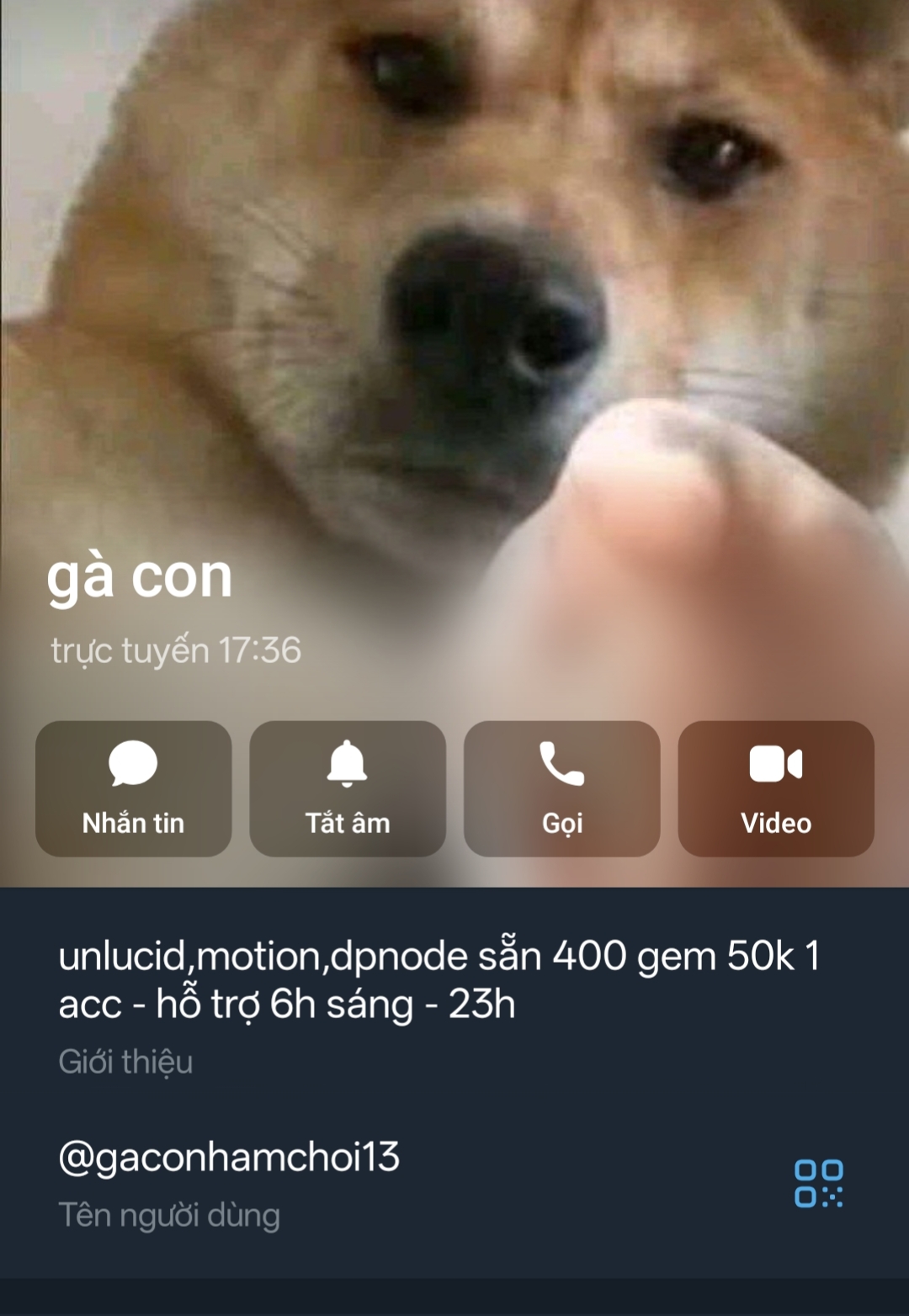 565549-1387b6bb0323.jpg