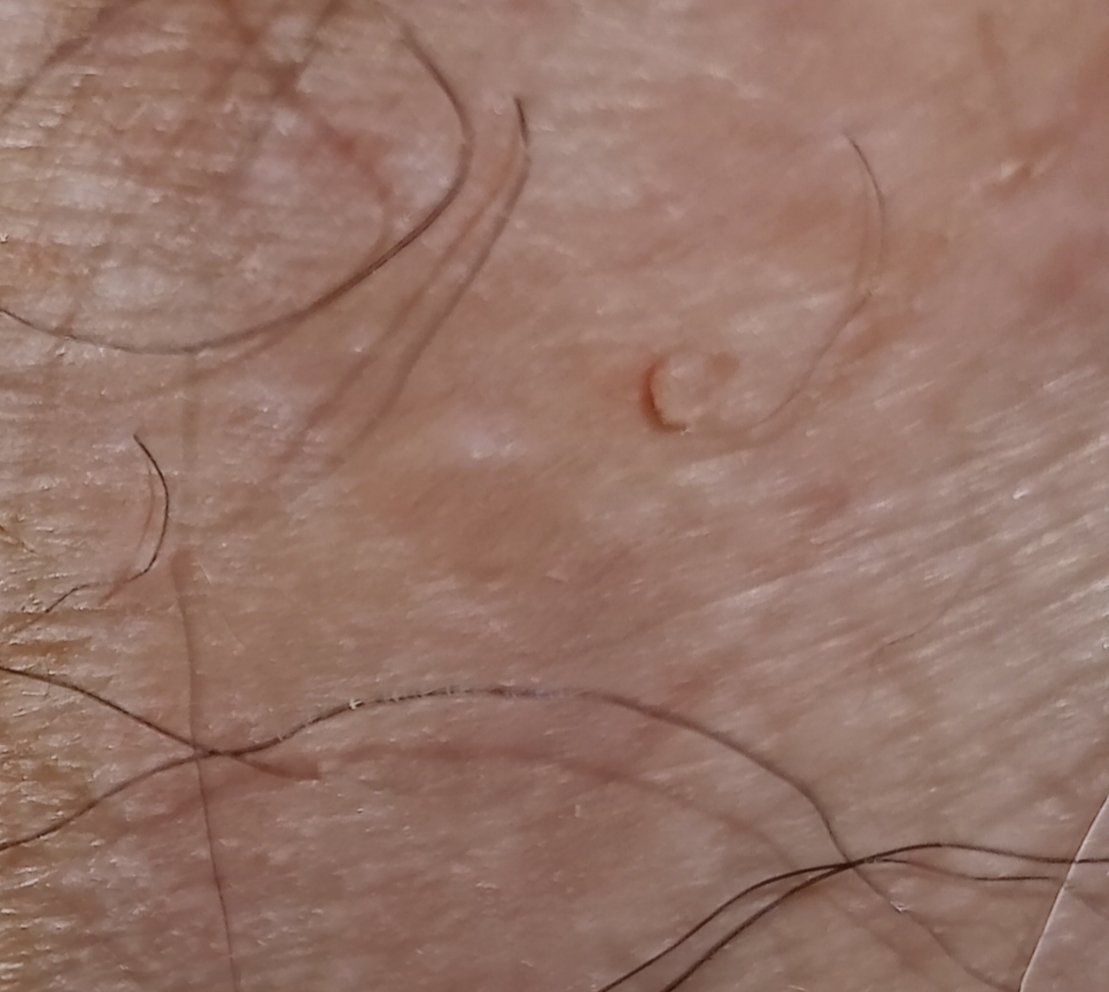 567786-ab8c885b9340.jpg