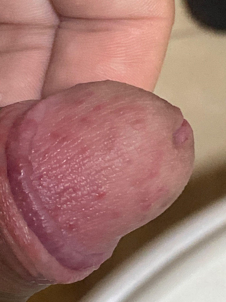 577815-a3a3e3880c54.jpeg
