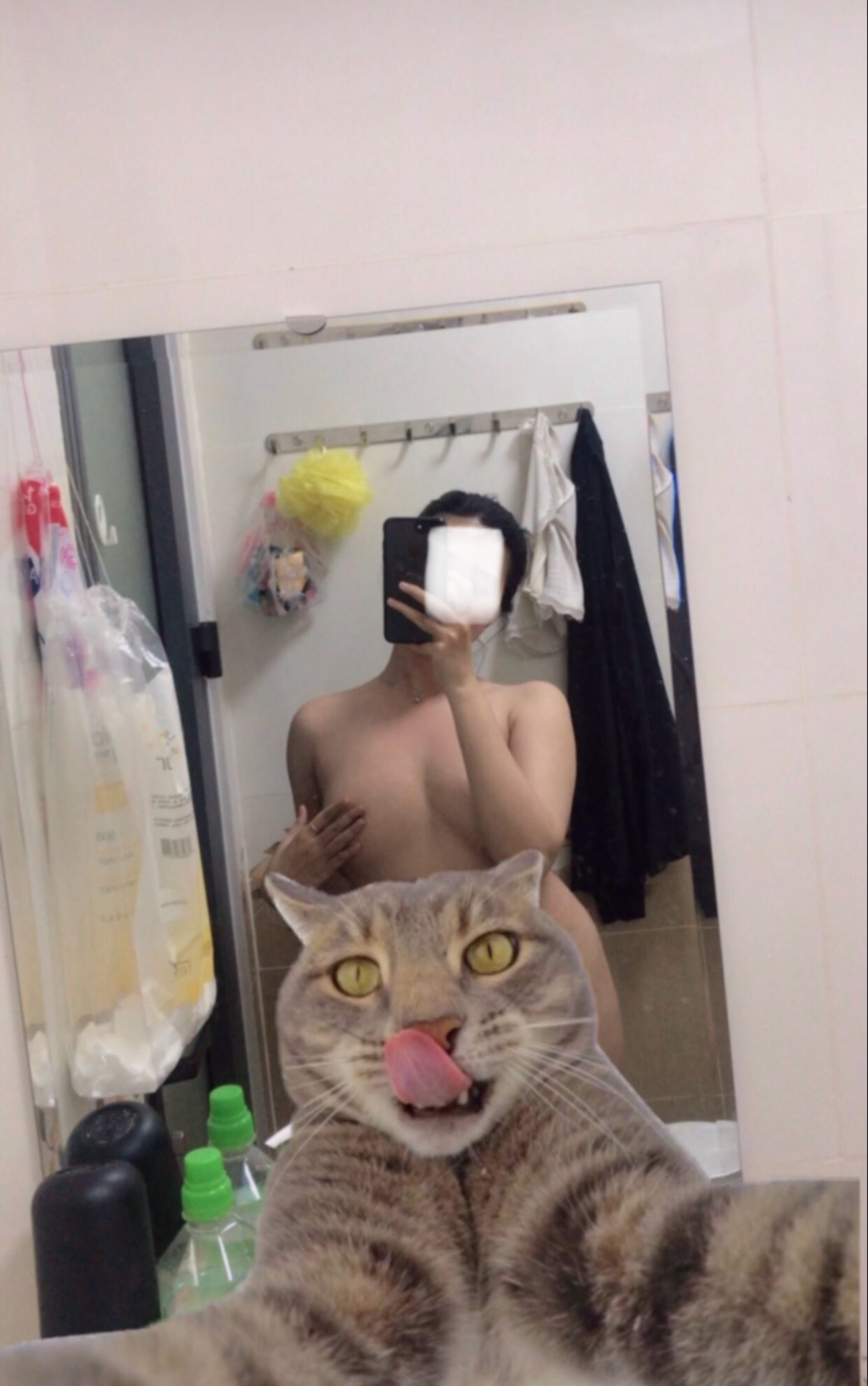 579277-e5eebeaaa721.jpg