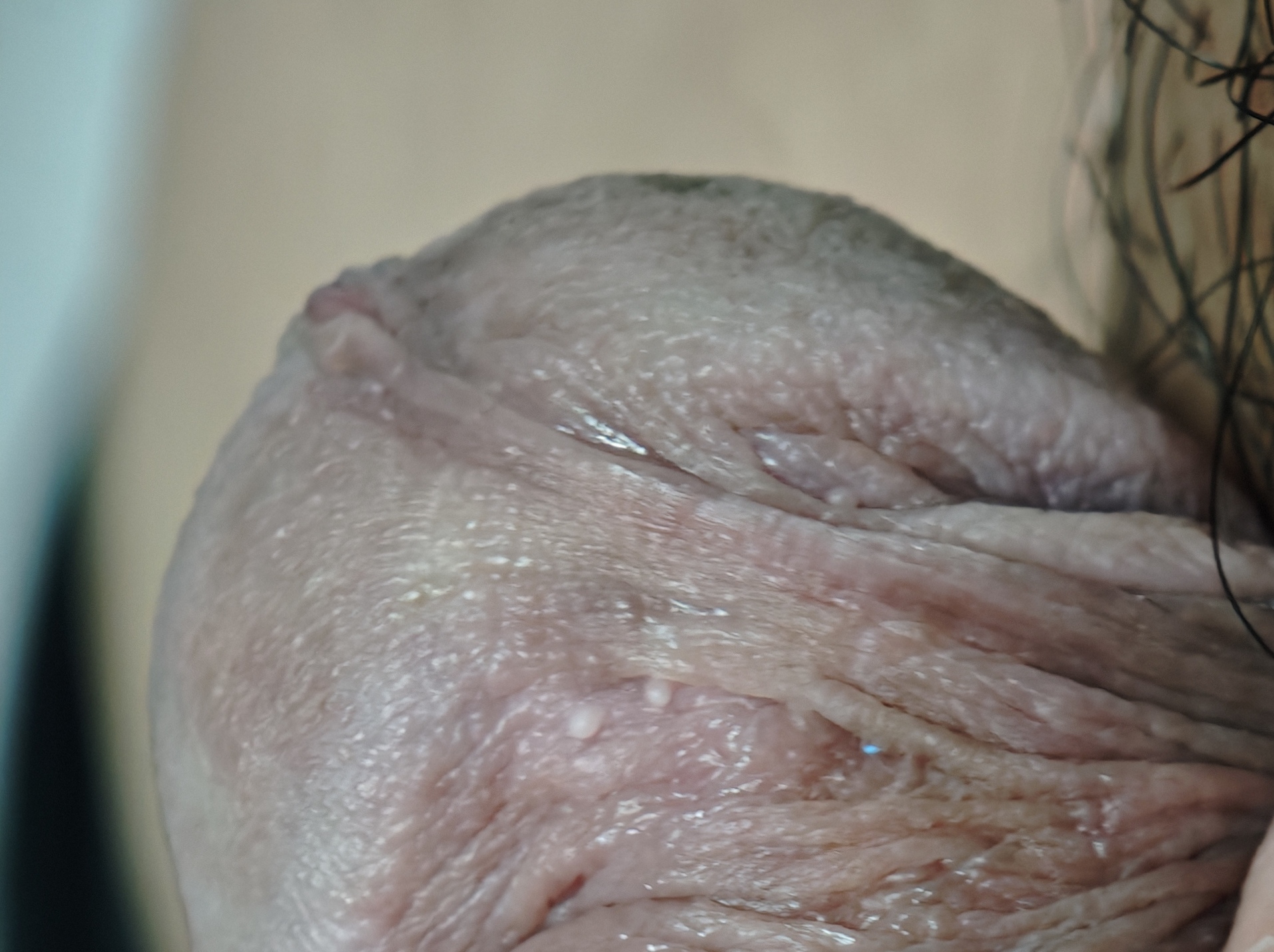 586729-2d287581053e.jpg