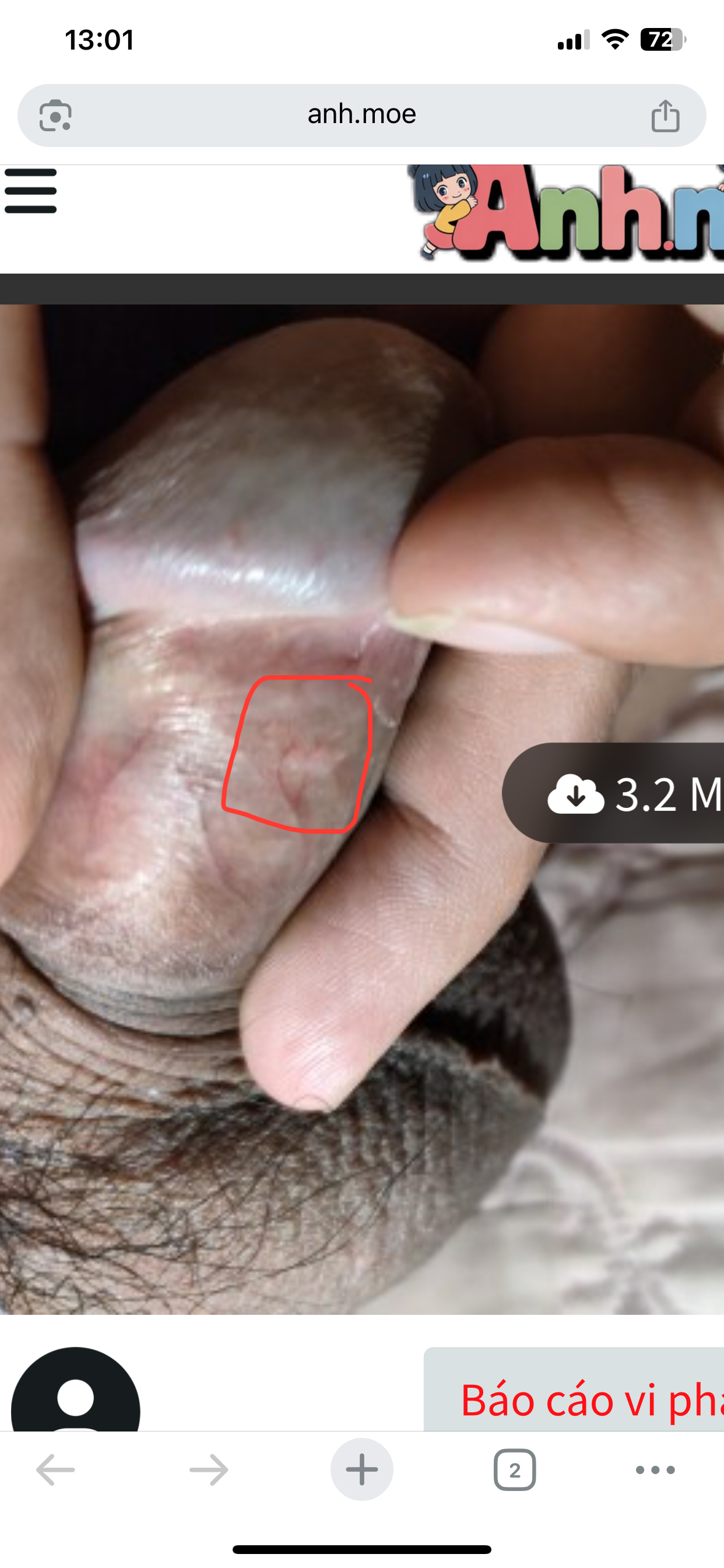 588124-d52adbd9d5d5.jpeg
