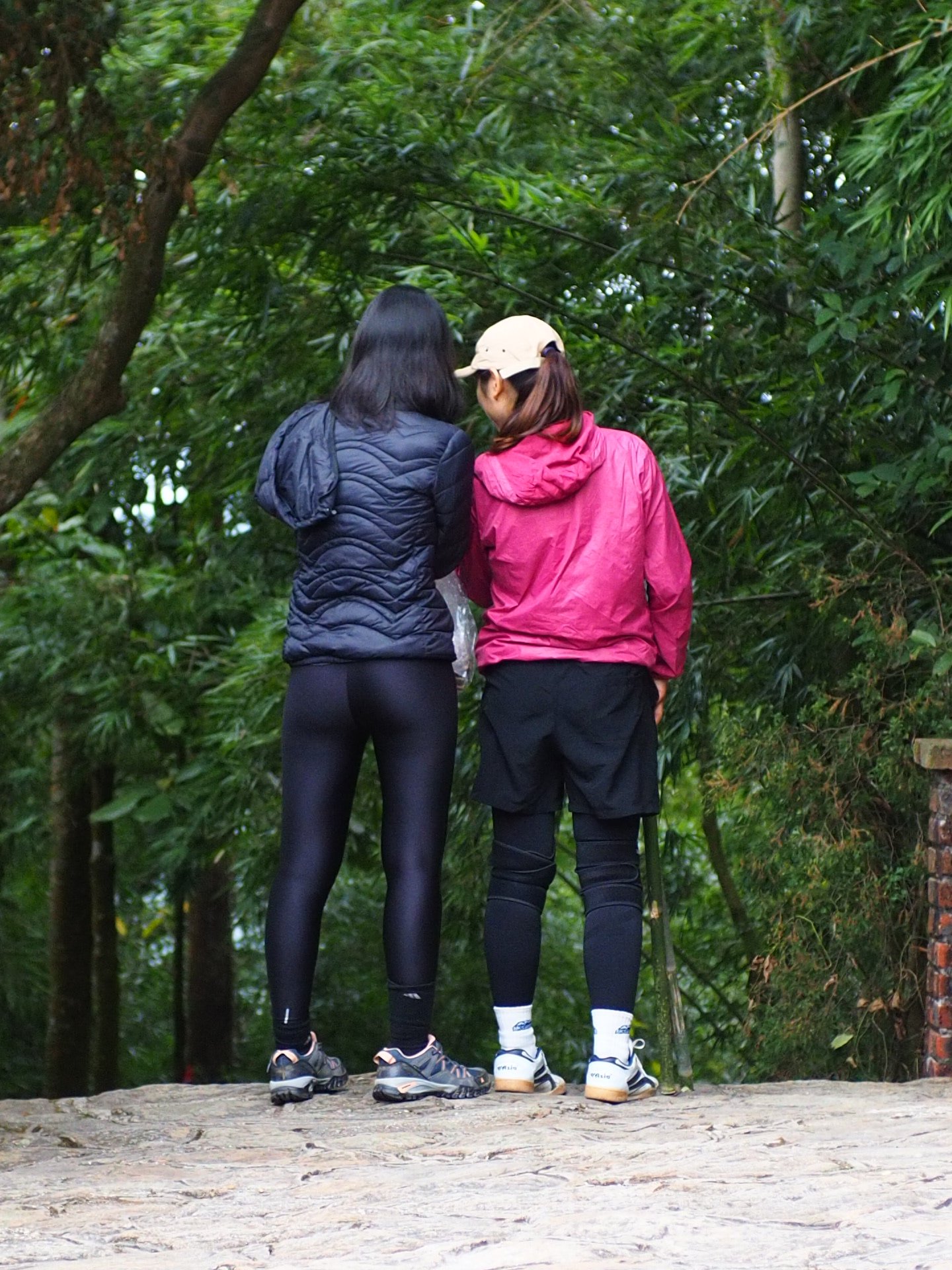 591085-7de780a2a49b.jpg