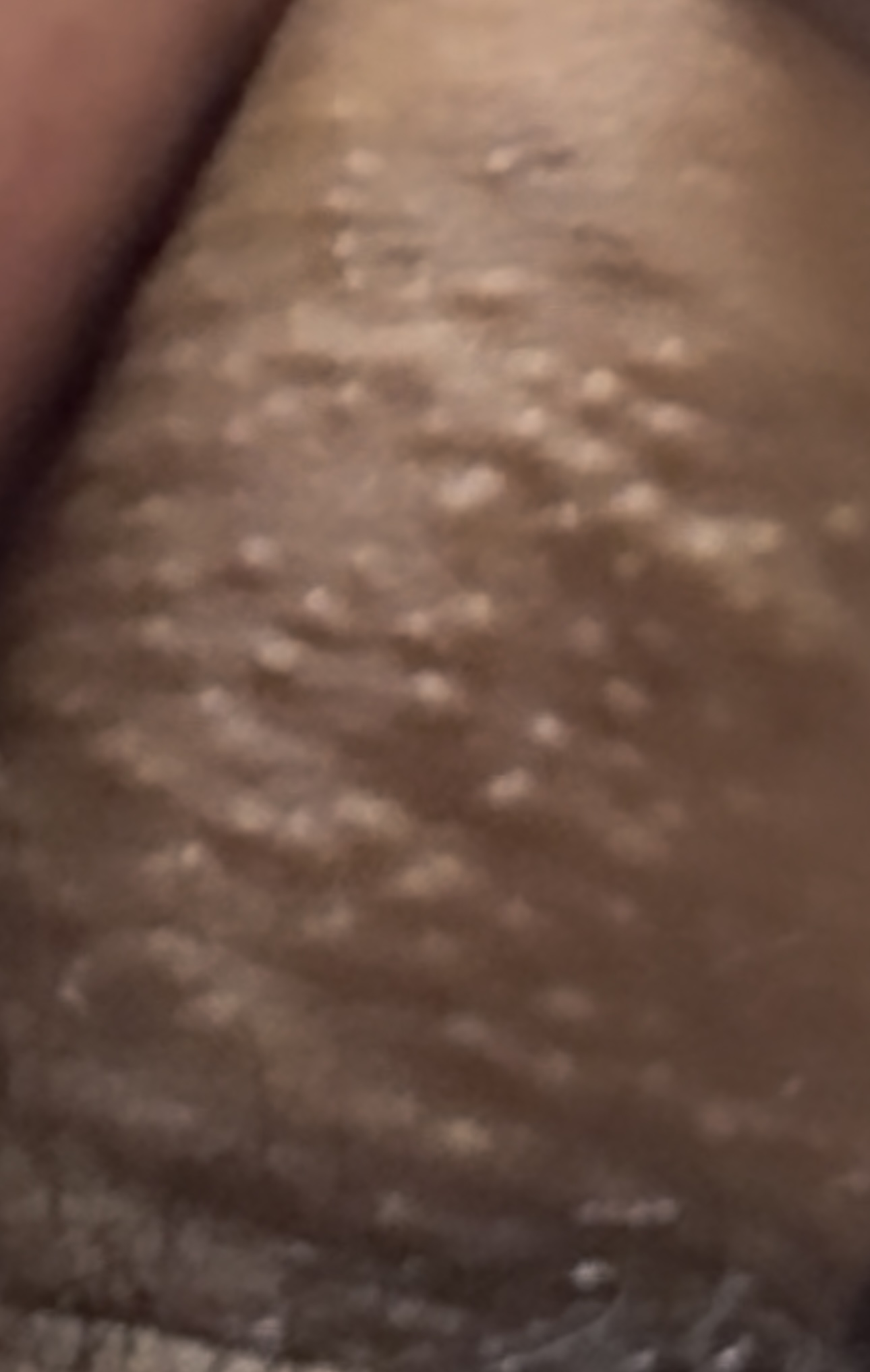591580-ba270de60849.jpeg