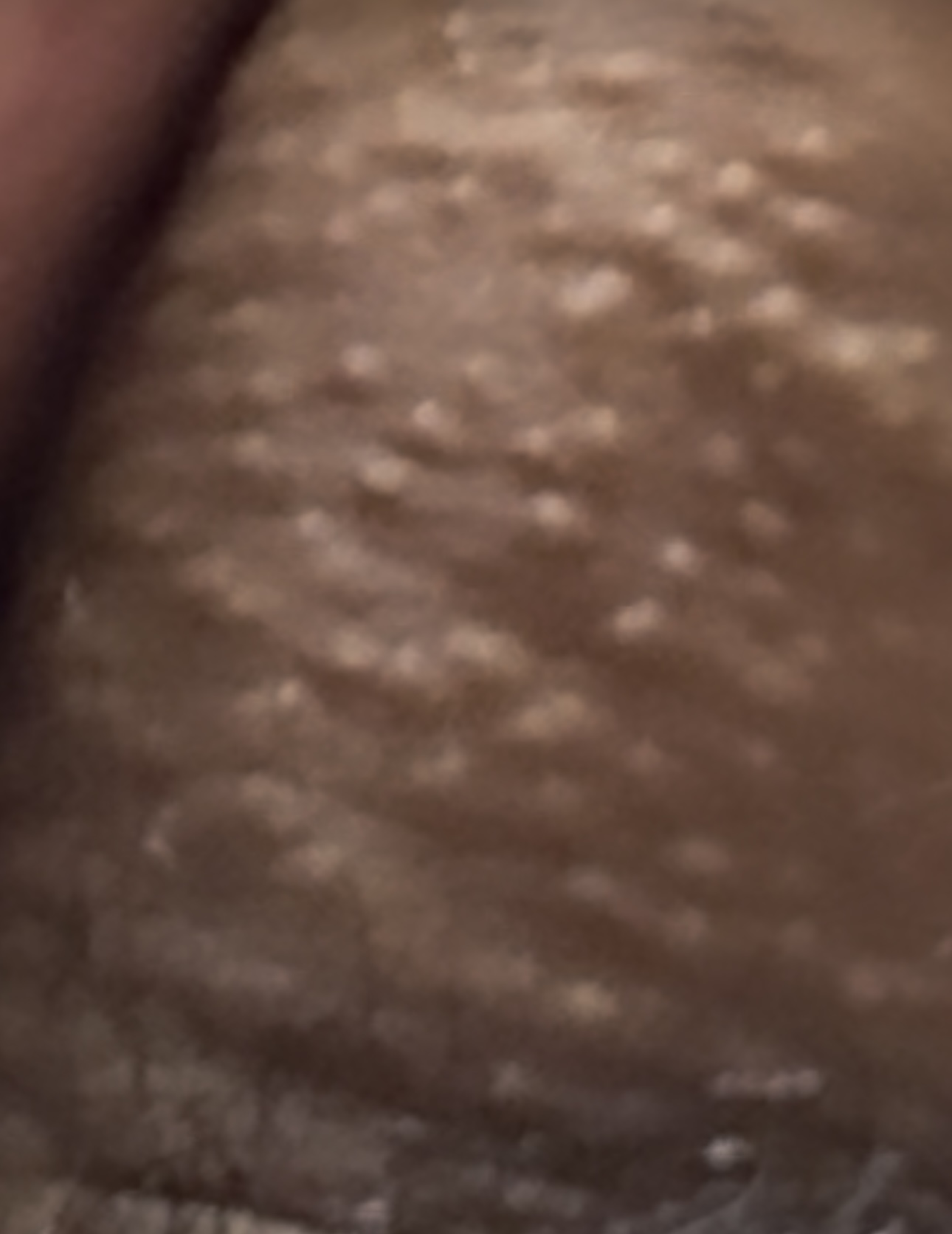 591581-fad3f7770460.jpeg