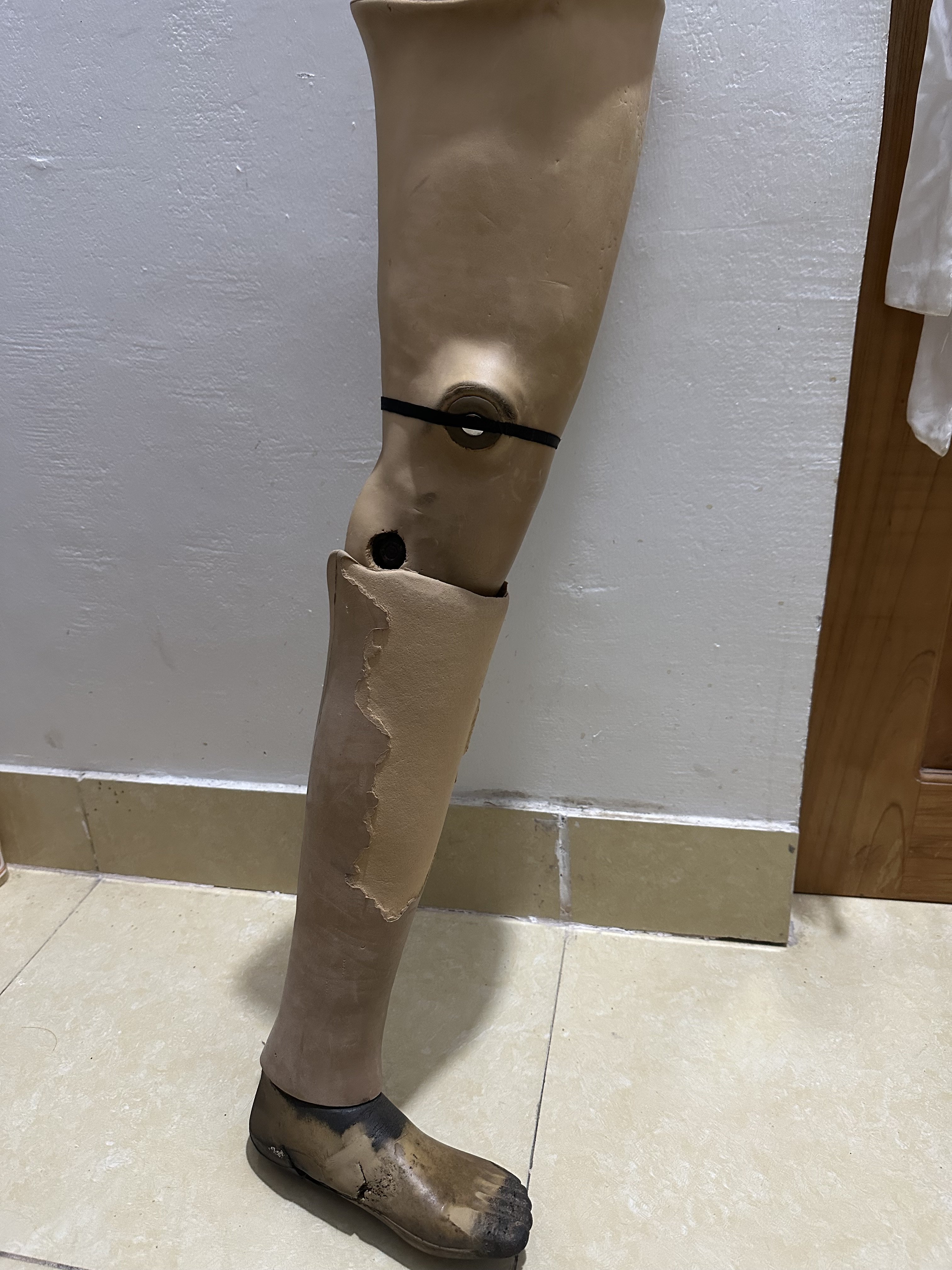 594997-8acac60d51e5.jpeg