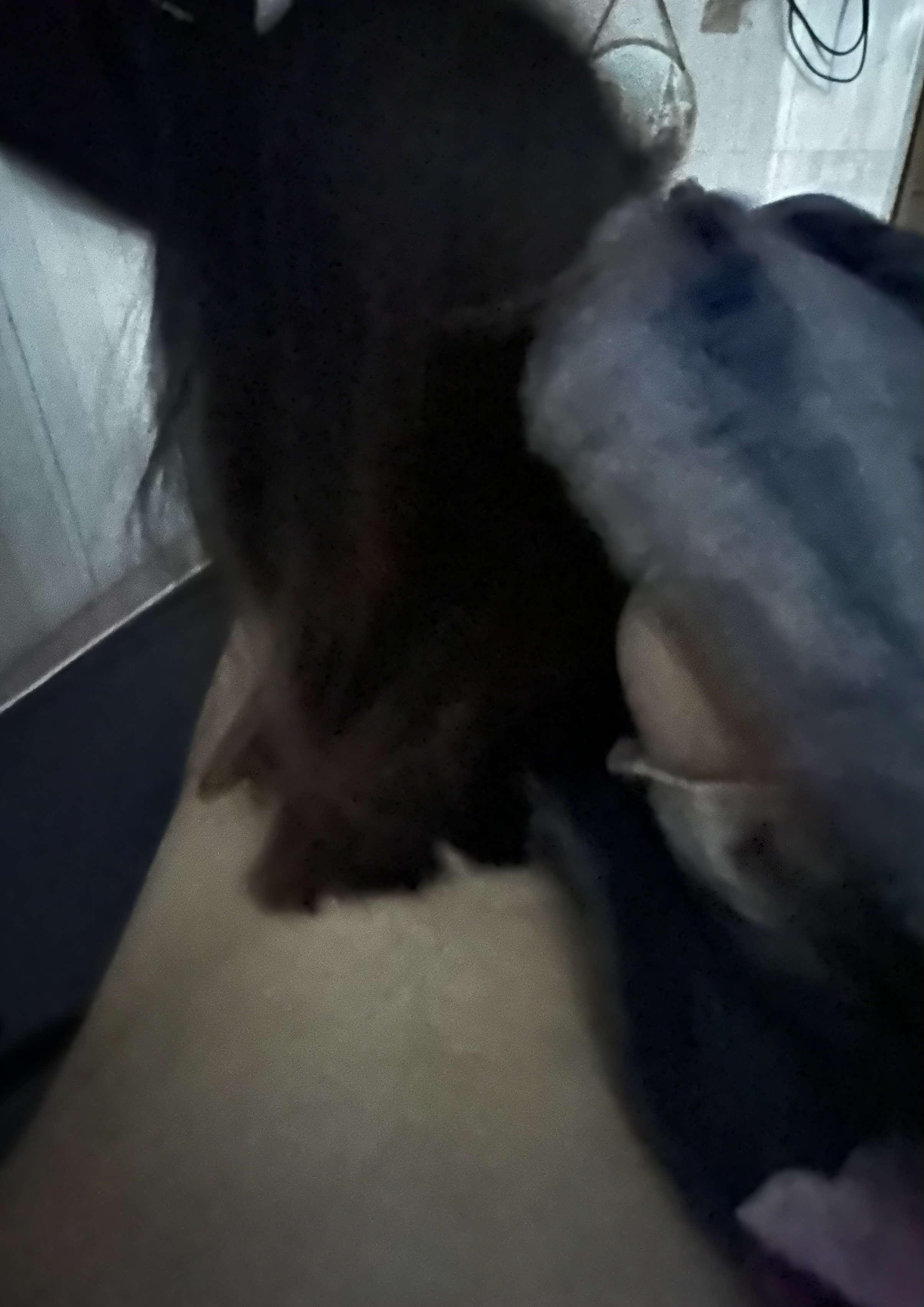 595070-8811ef68286d.jpeg