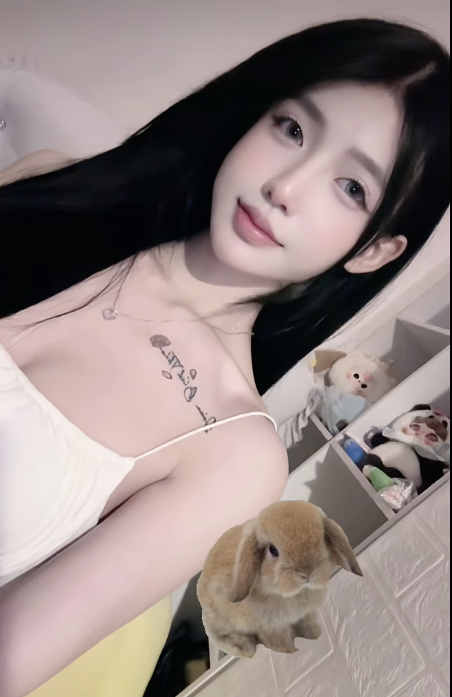 597591-9971ec06dd15.png