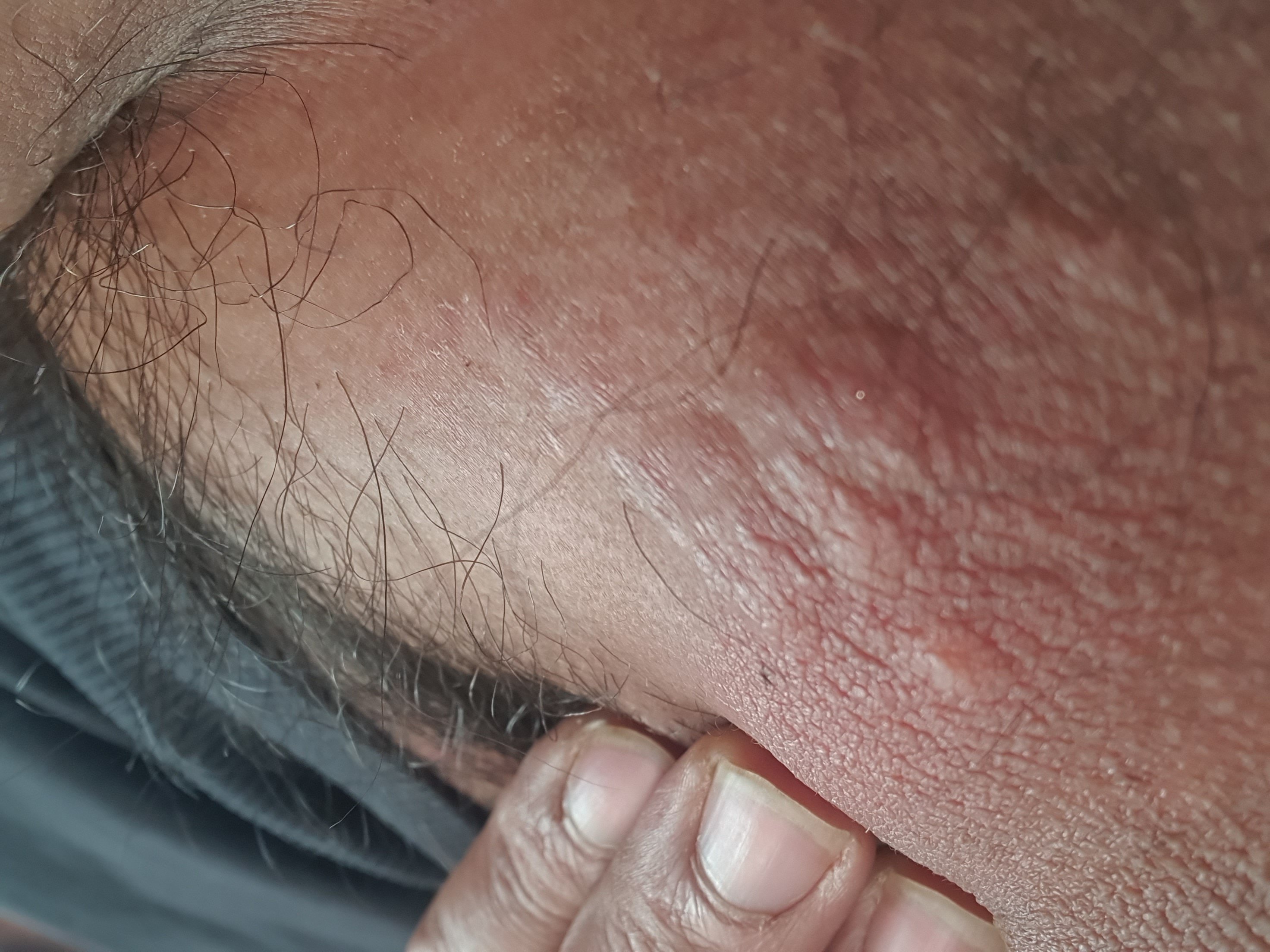 597783-45671e2ff272.jpg