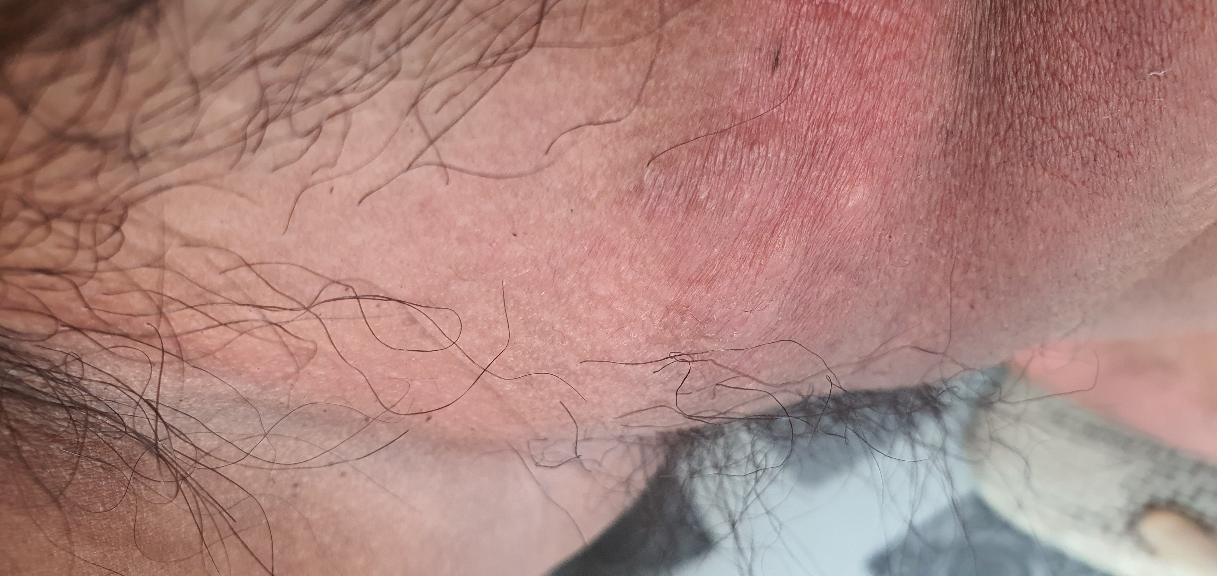597784-94682da90570.jpg