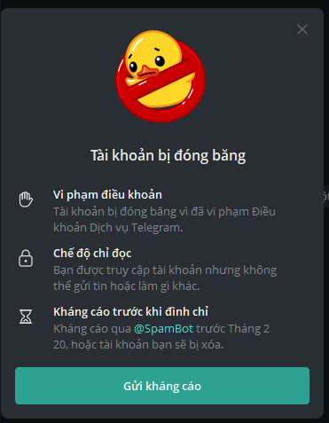 604023-cfc720de5fba.png