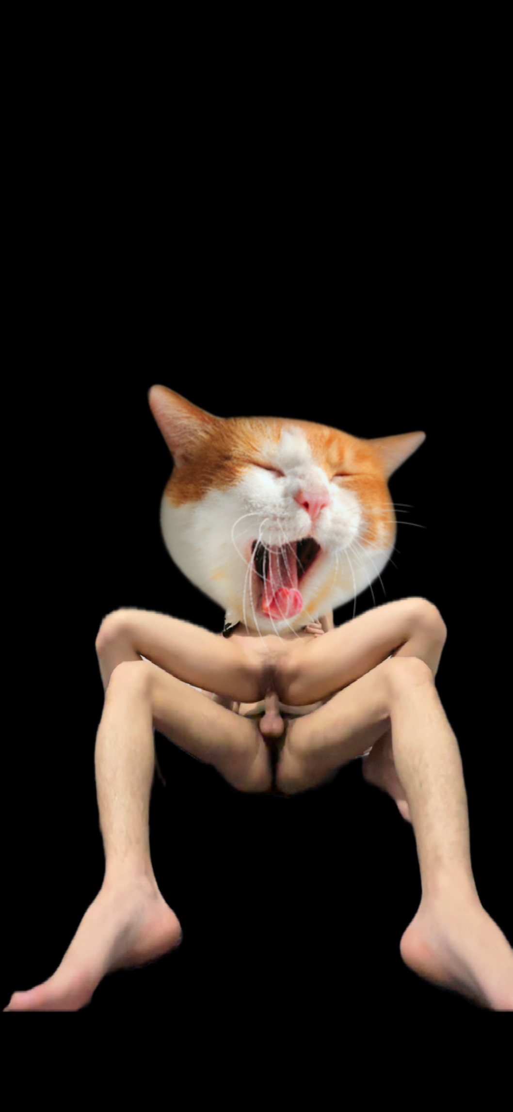 604383-82bd8c829600.jpeg
