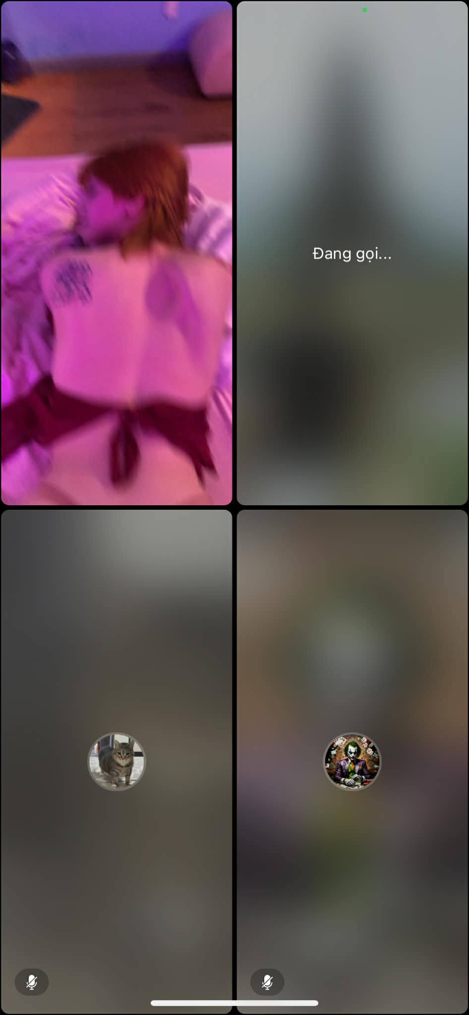 617053-6e508660ceca.jpeg