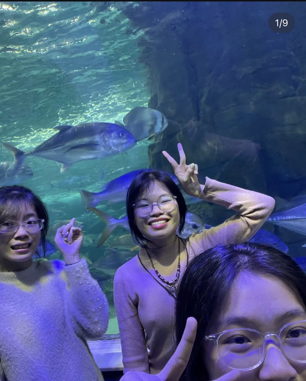 622629-48c29d4cb3ef.jpeg