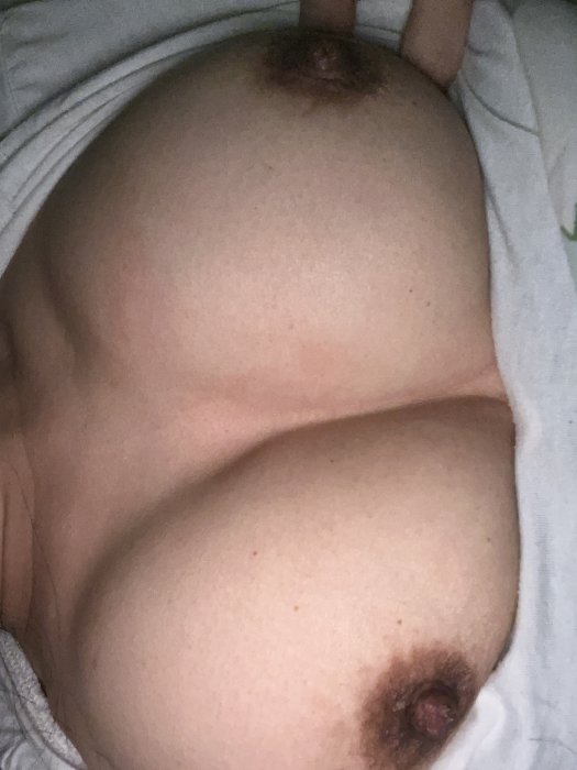622913-055ef85e5139.jpeg