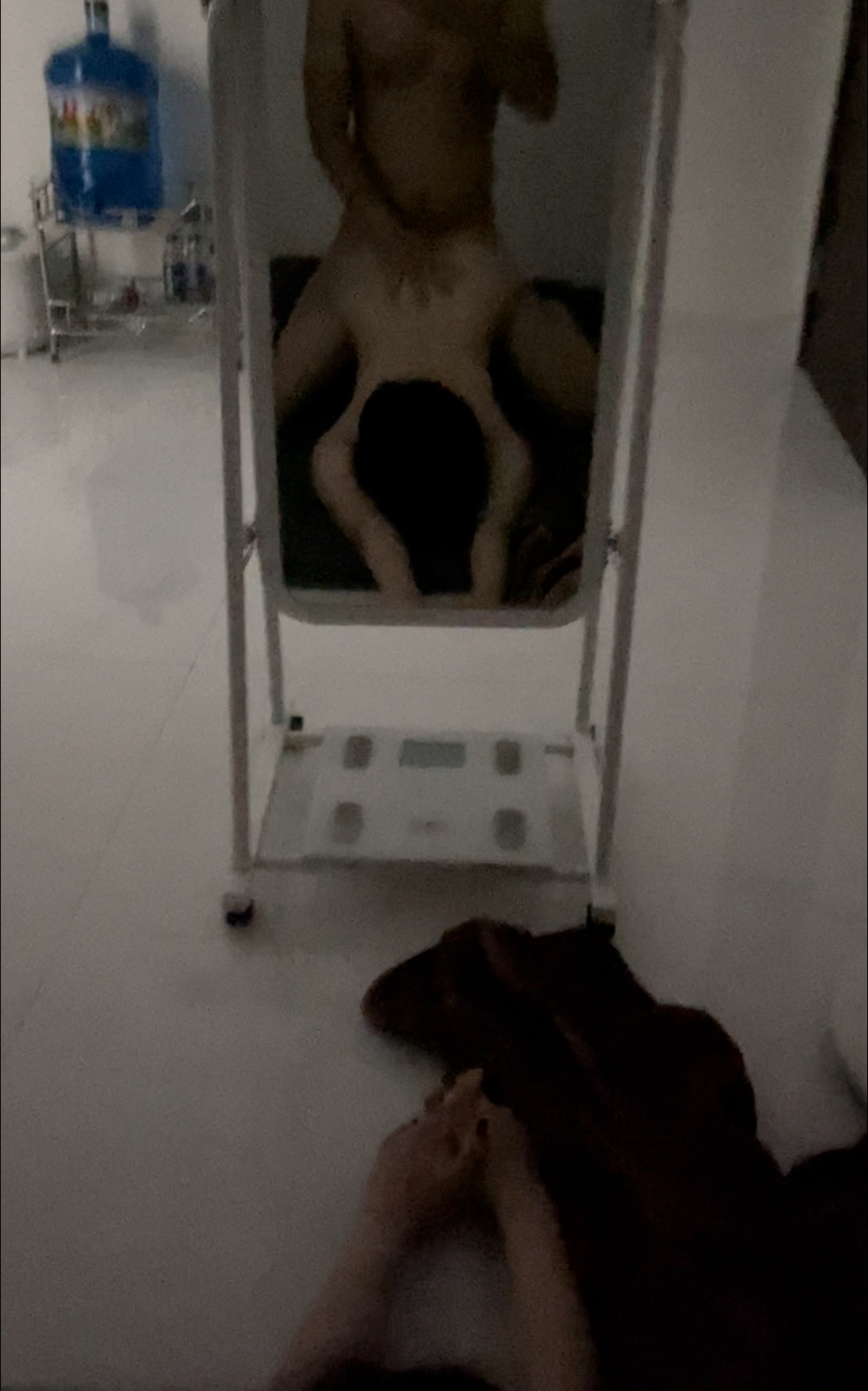 629017-5a738946948e.jpeg
