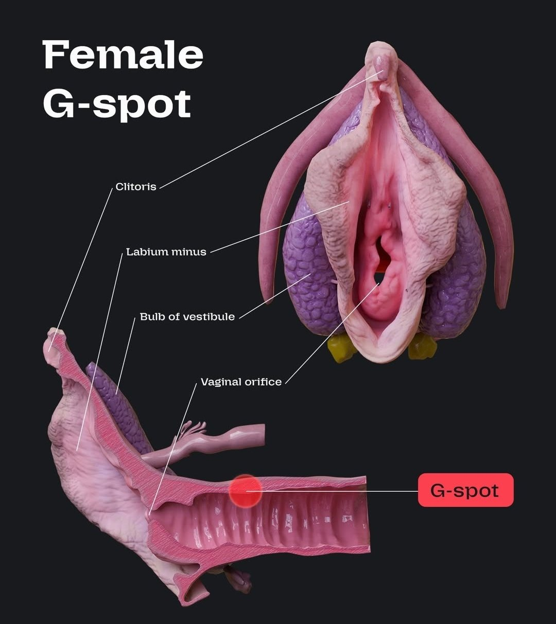 632213-dd71642aebdd.png