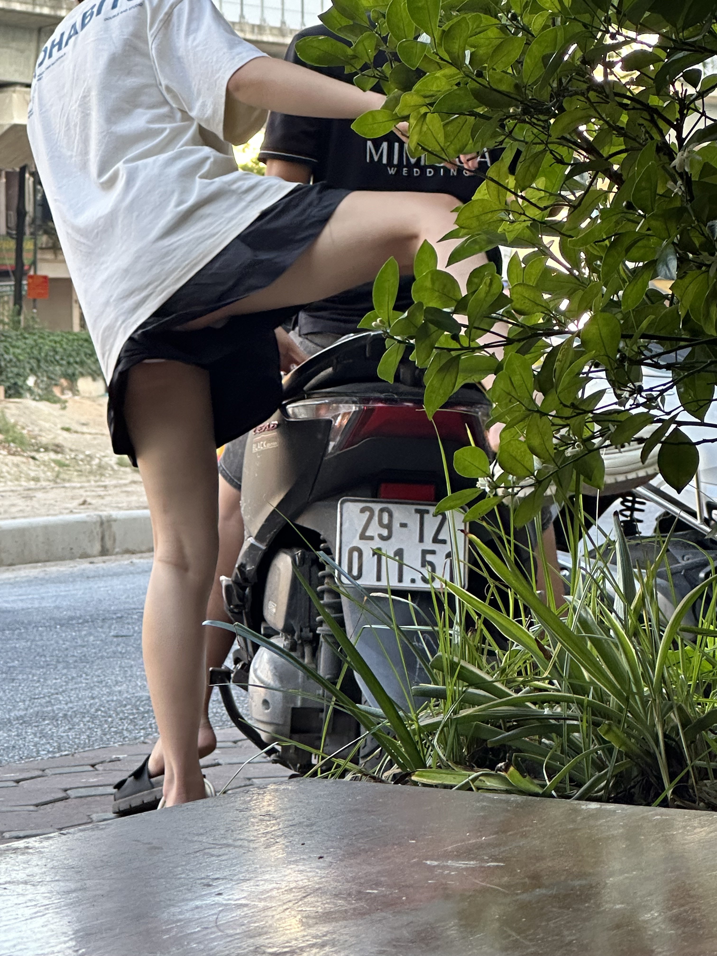 638588-a370d86cd715.jpeg