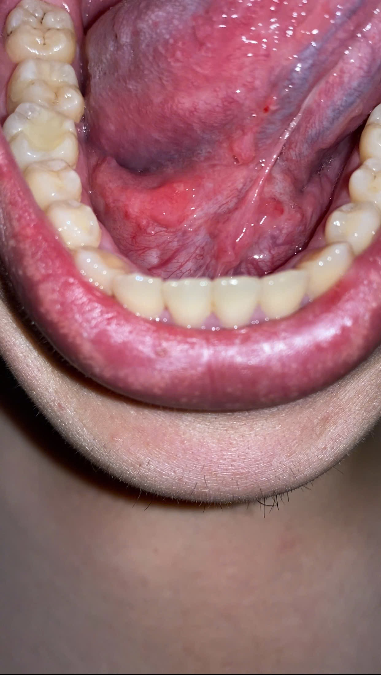 640778-c0498a8f29a6.png