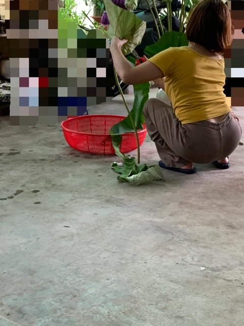 643652-eaf60ea2d45e.jpeg