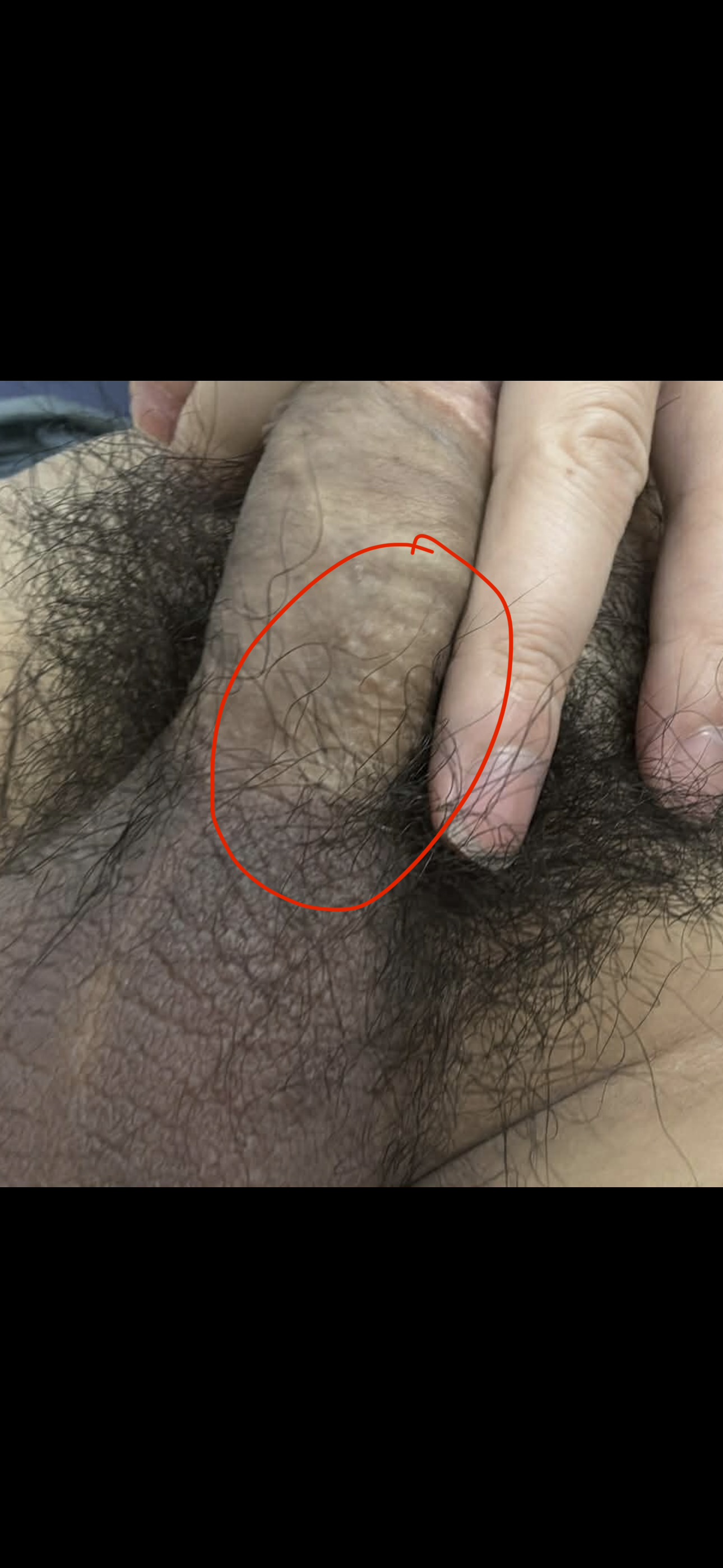 645869-9d613f040c56.jpeg