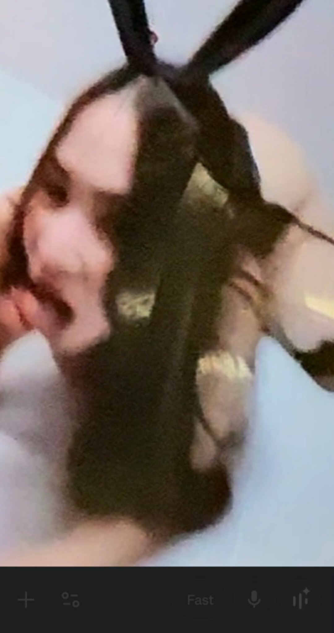 650174-193d24d02415.jpeg