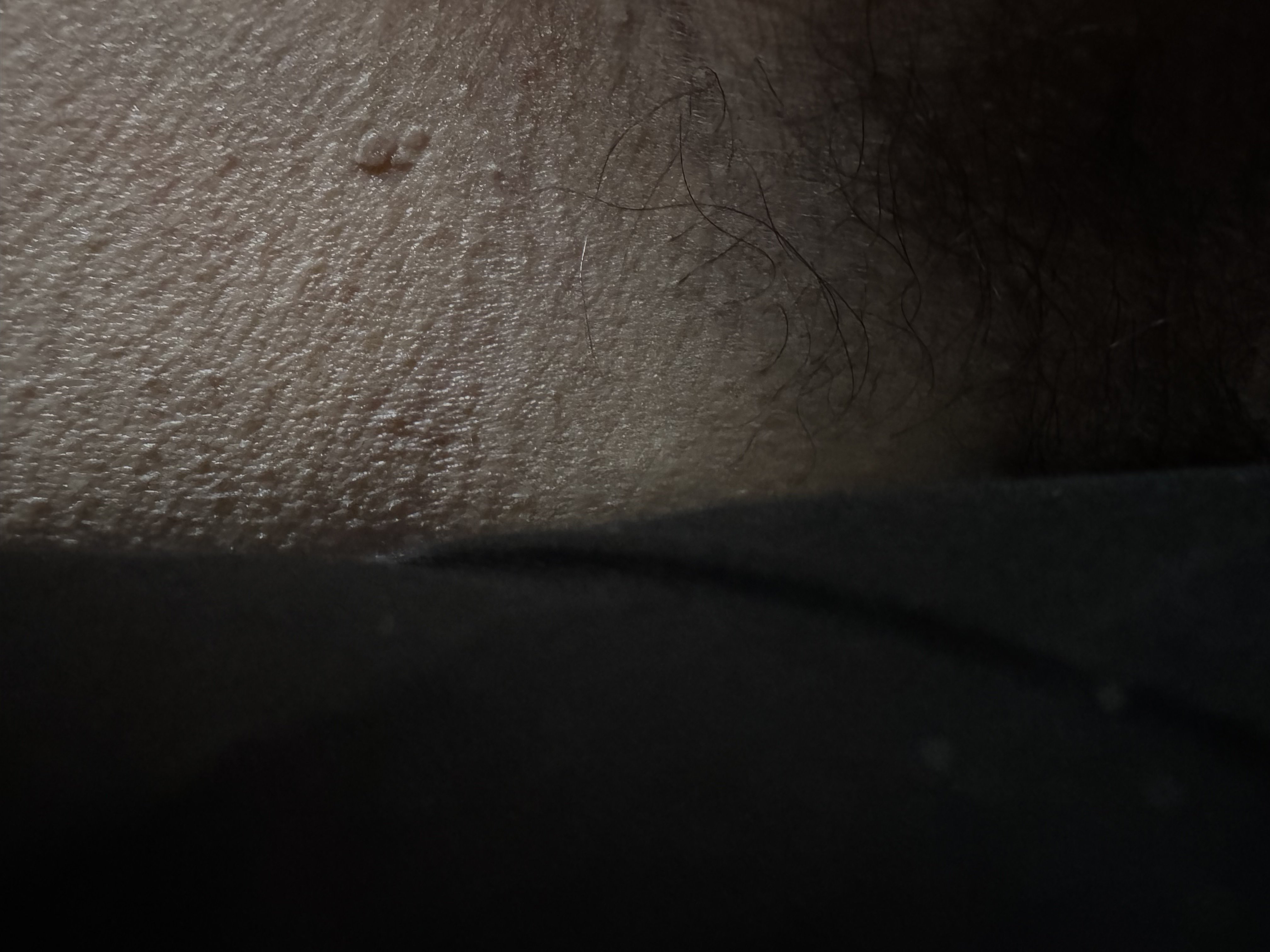 657300-36d6ff80ee11.jpeg