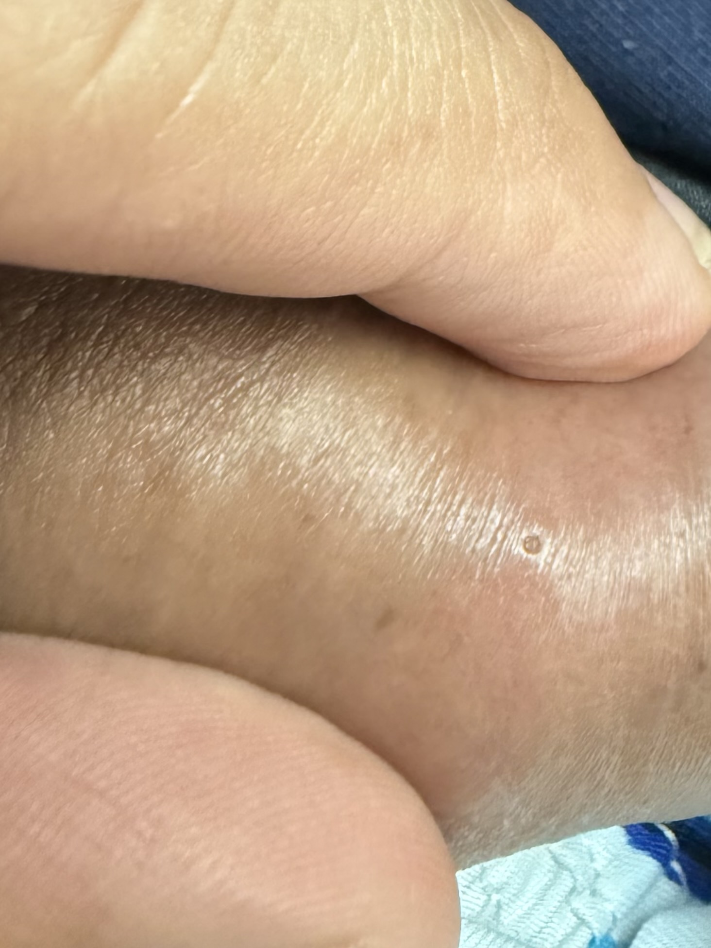 662135-5960657cb37e.jpeg