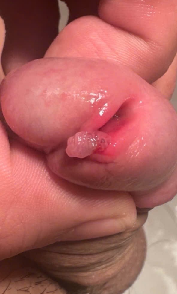 662918-cf3897abe3a8.jpg