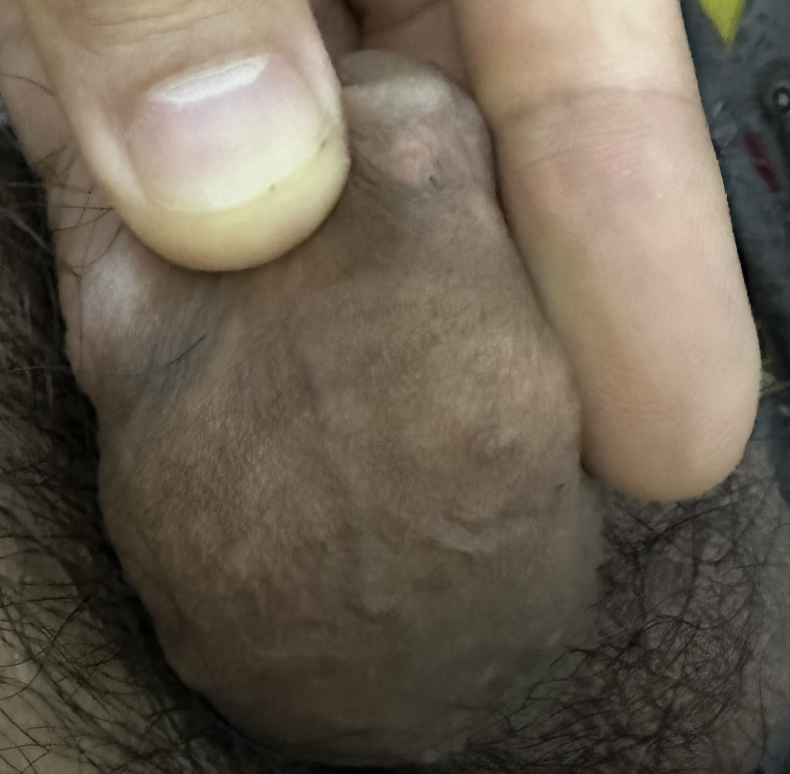 679489-3f29a5d1bda7.jpeg