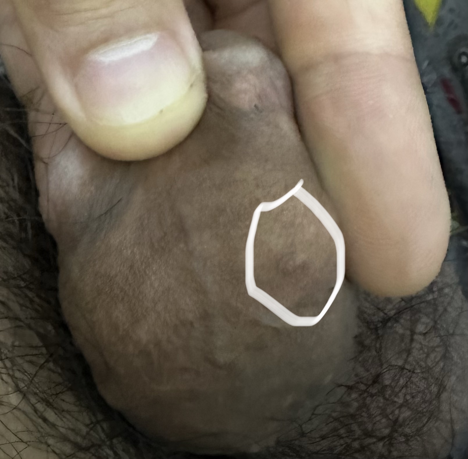 679624-5b028d899666.jpeg