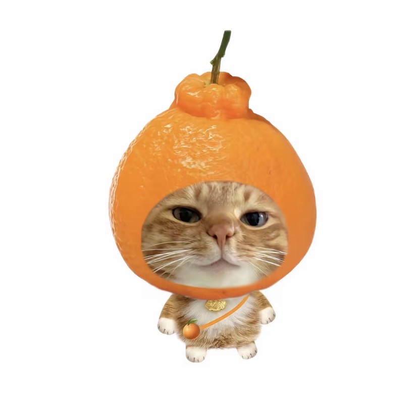 695896-23741326e658.jpeg