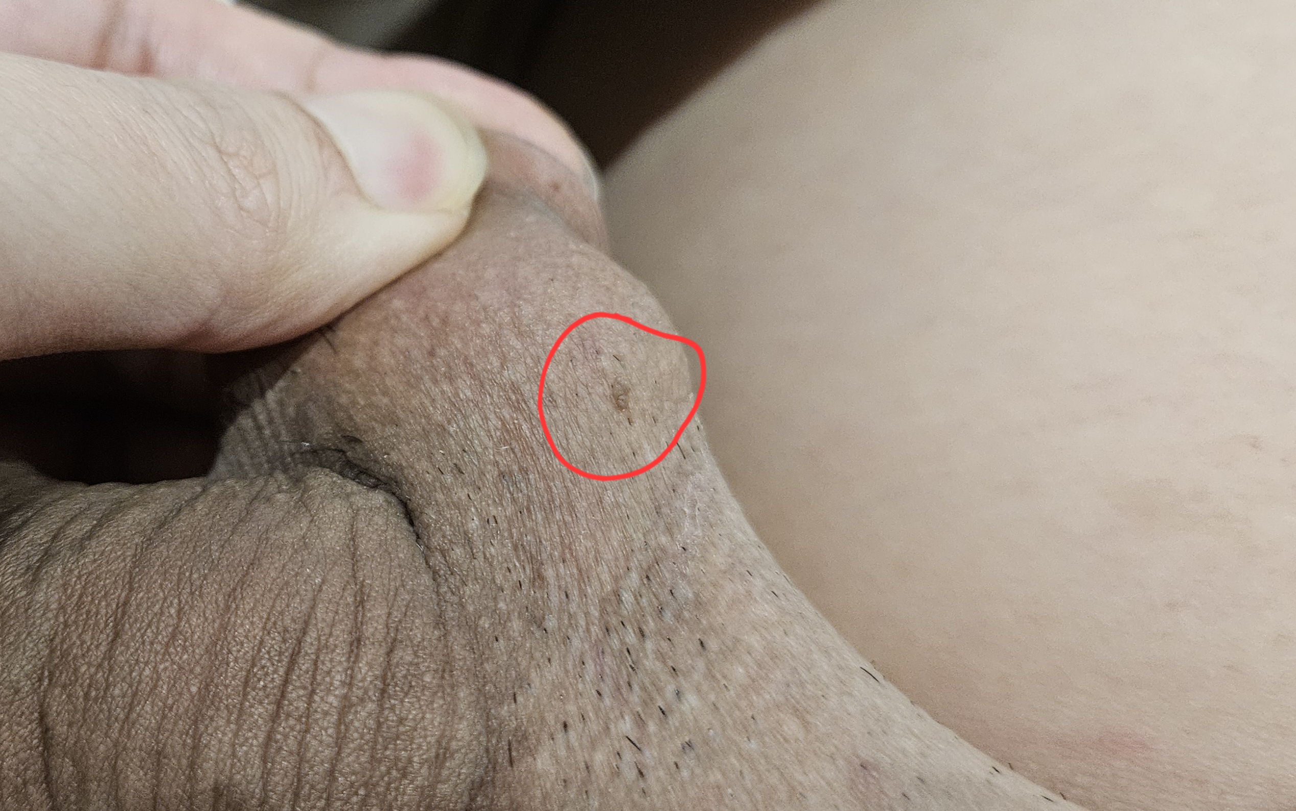 704873-09940121bb40.jpg