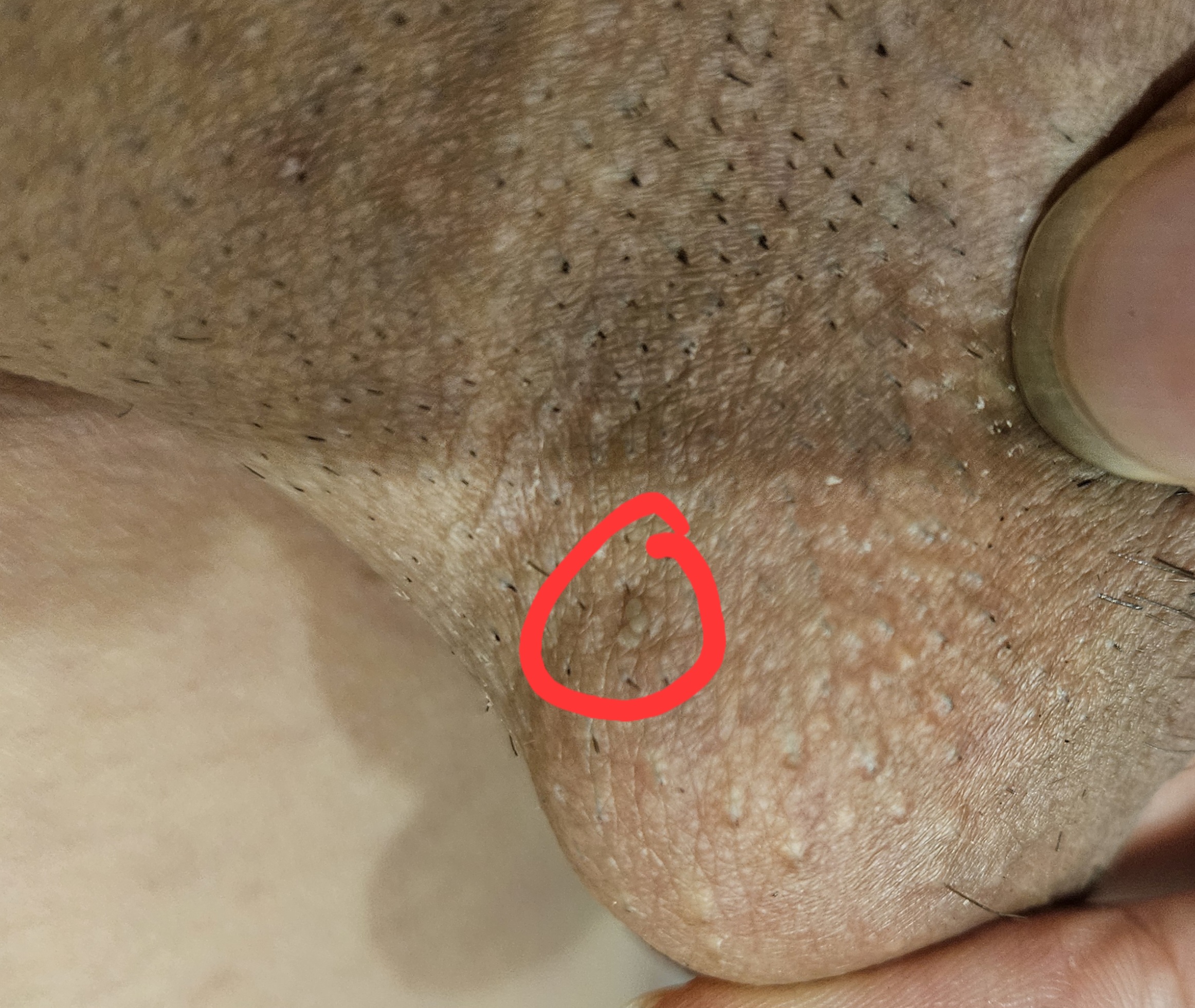 704874-6e08f430ea04.jpg