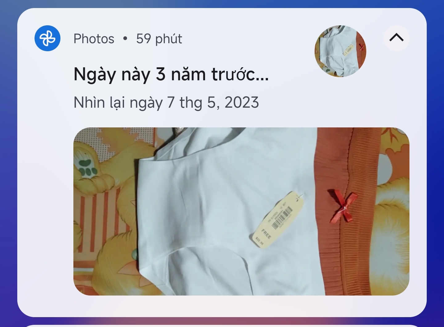 705098-846df3d8e1e9.jpg