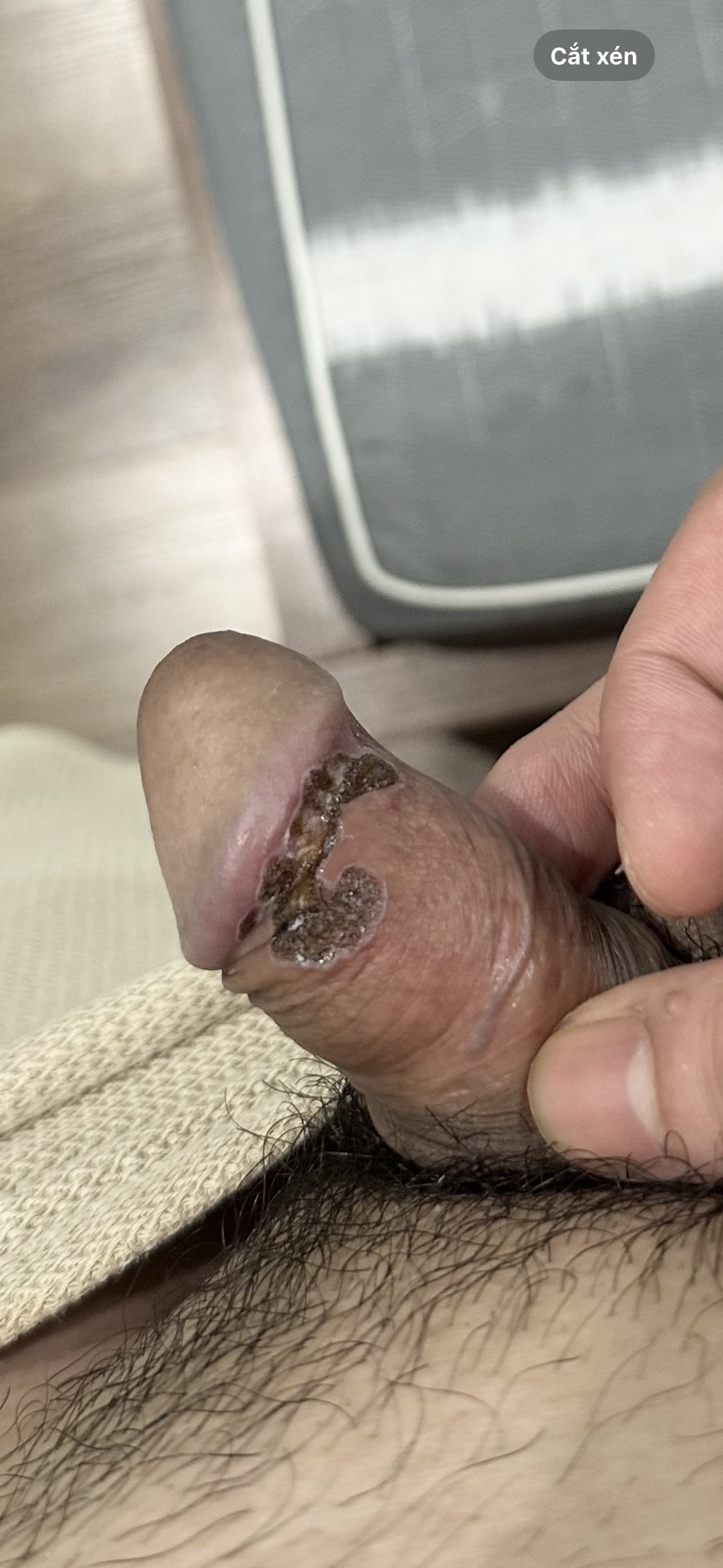 713940-c040022ae6a6.jpeg