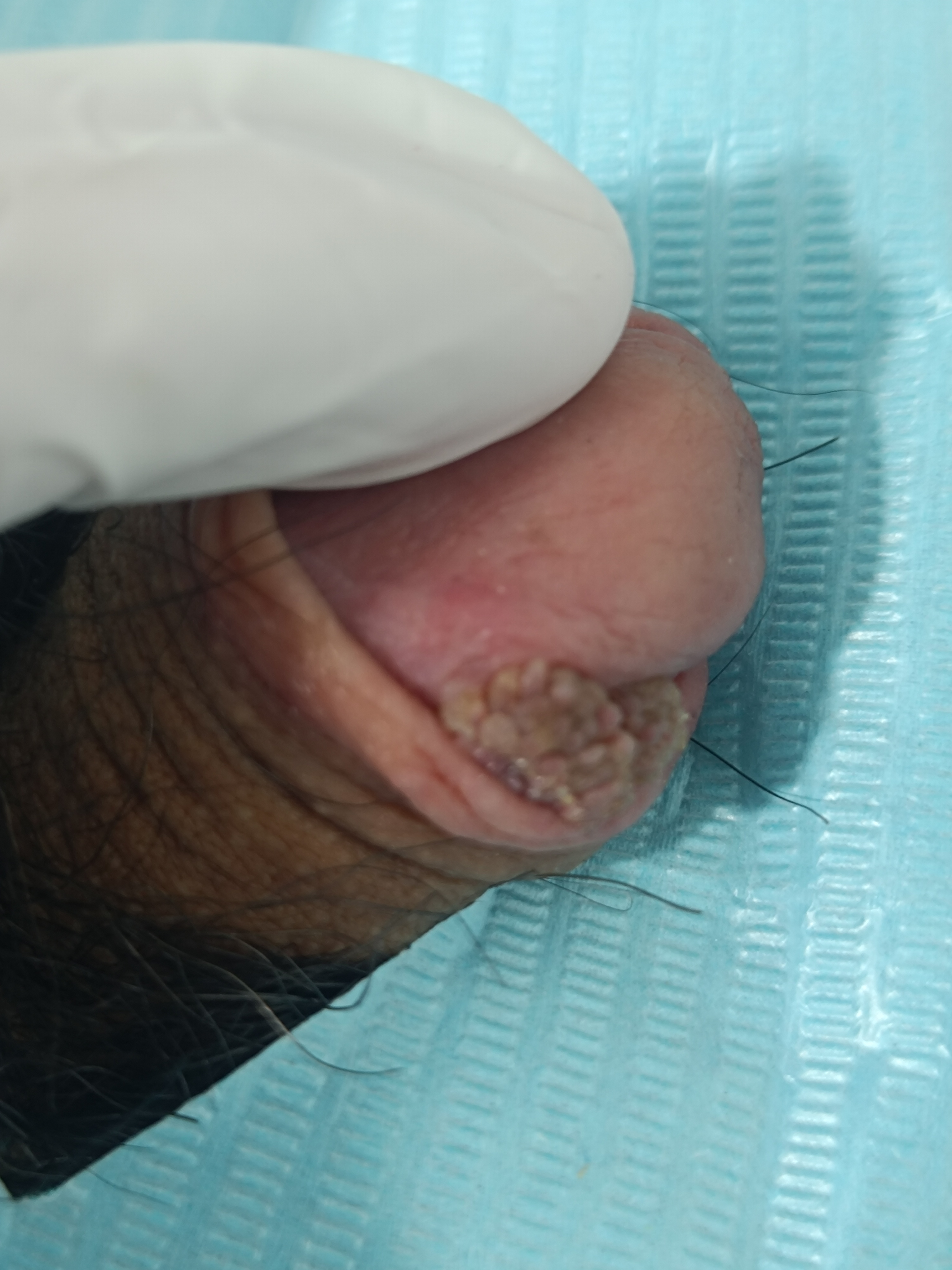 714394-c02979425ebe.jpg