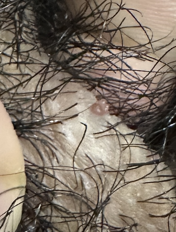 720352-71e8fb894595.jpeg