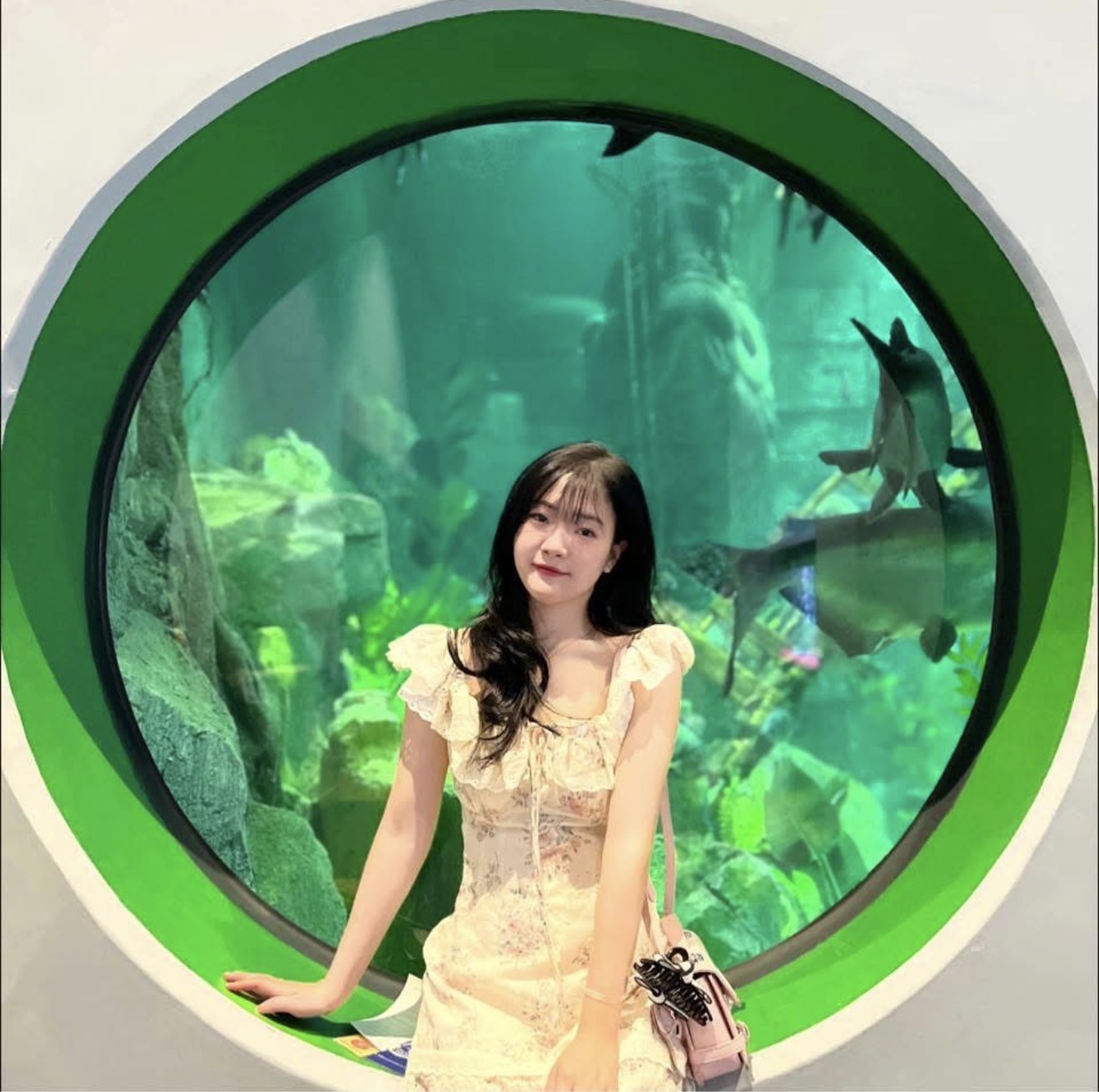 735541-9df004bdac73.jpeg