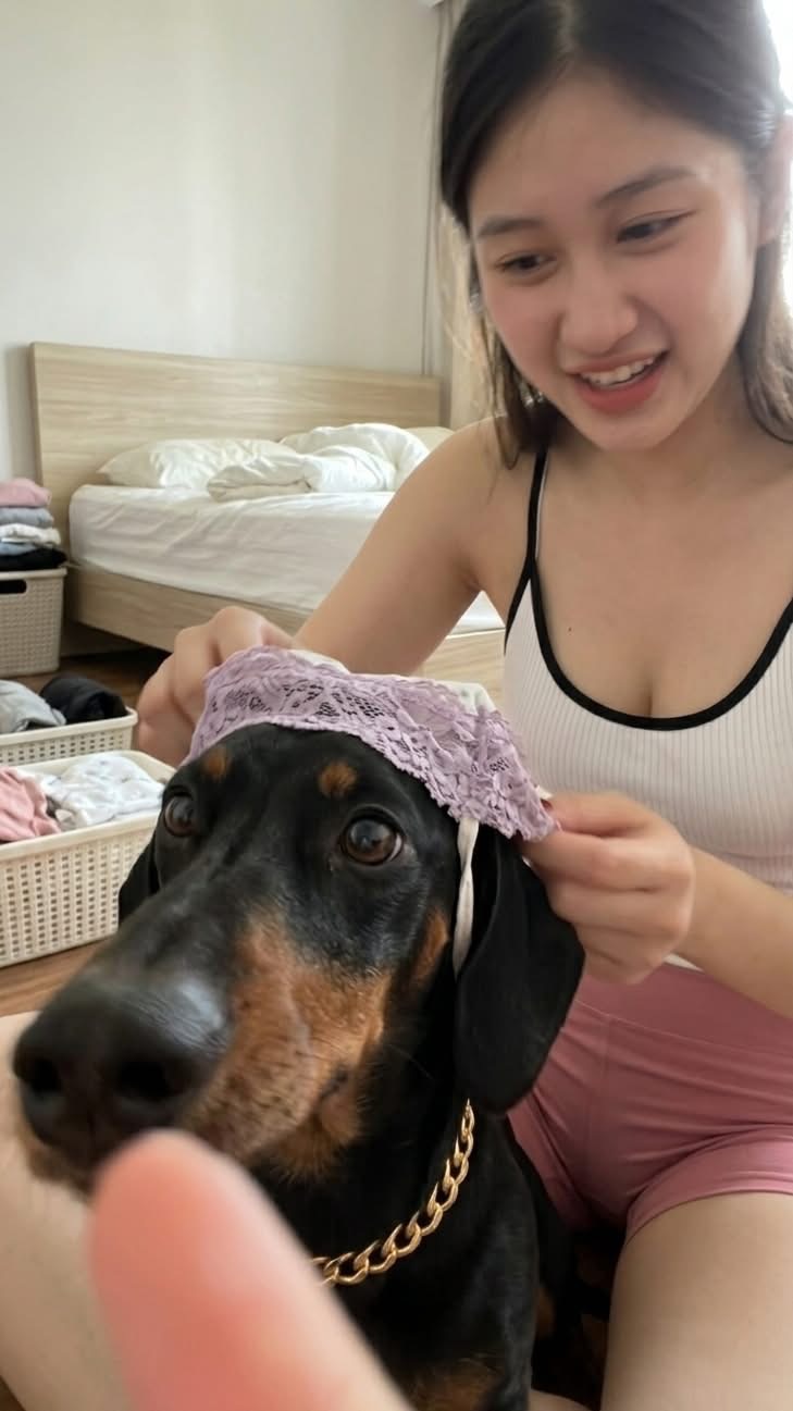 741435-ea55ab562589.jpeg