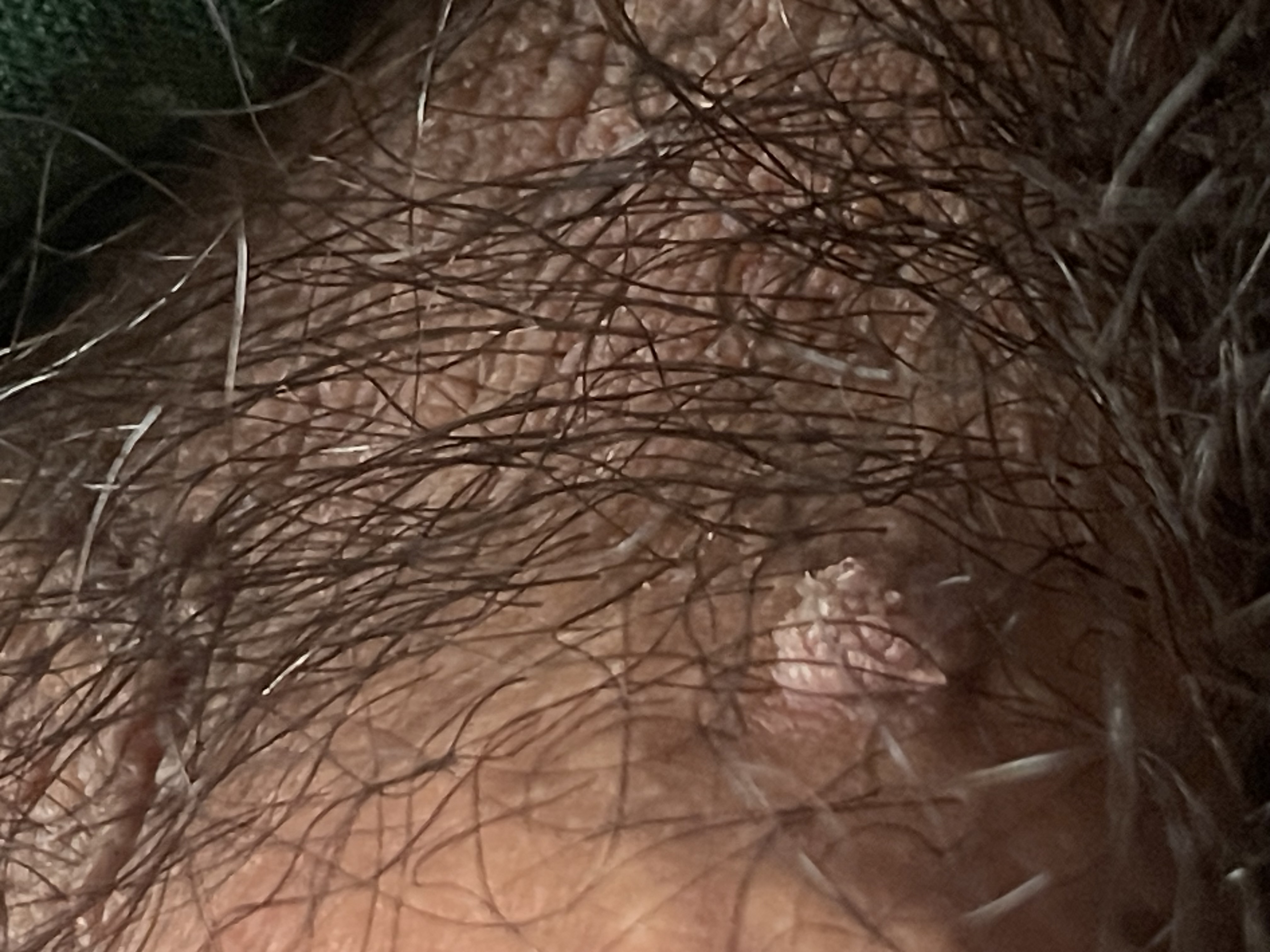 752911-9d37f31fcdc6.jpeg