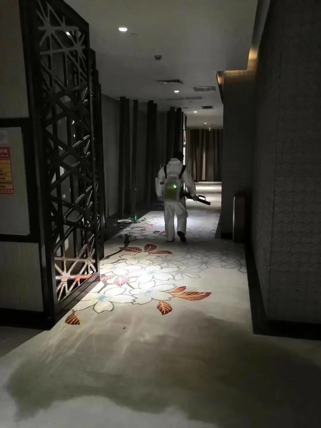 754011-a1ef574a72fa.jpeg