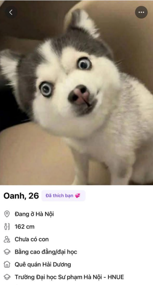 772949-39e9949d2a1a.png
