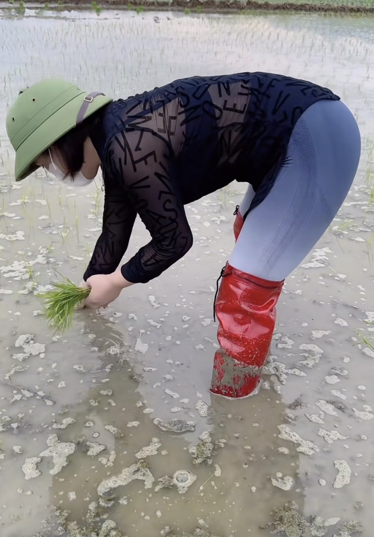 773037-c99305d41578.jpeg