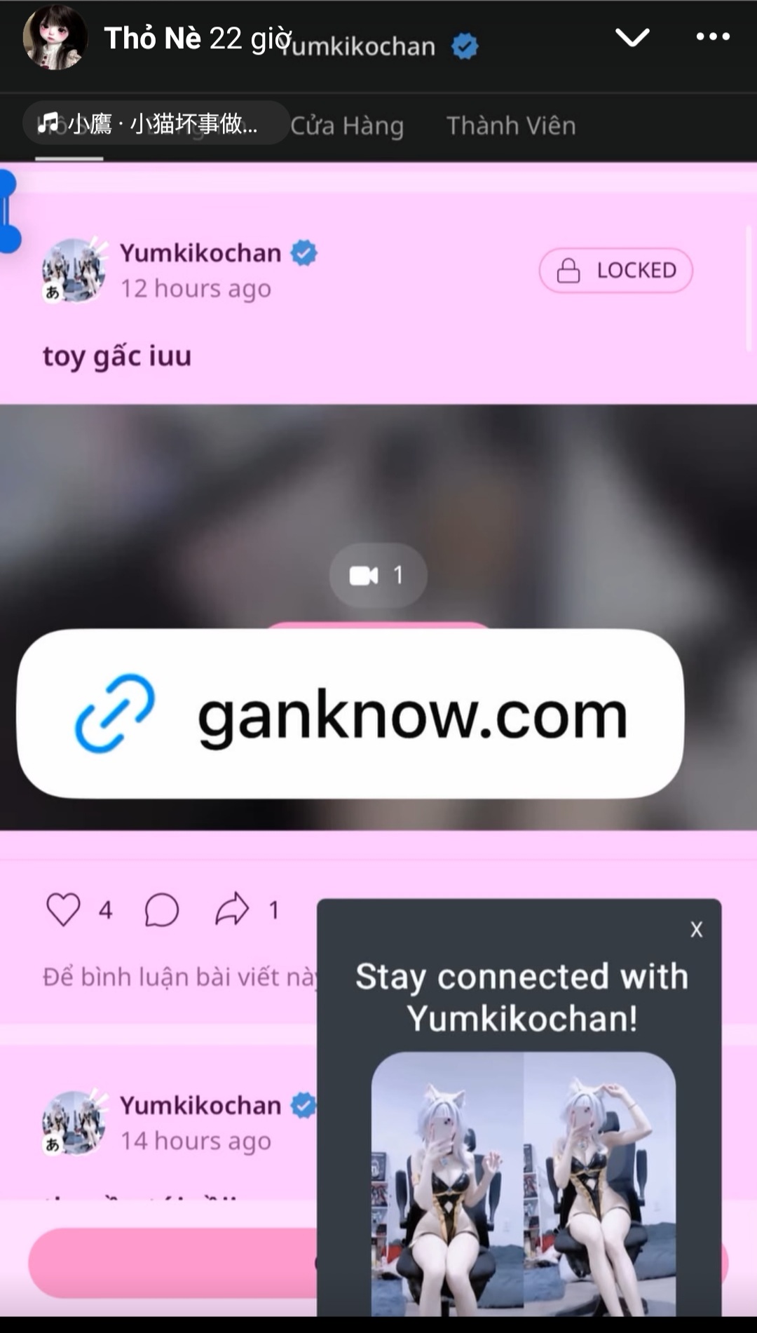 775221-1c13be9580e6.jpg